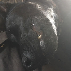 Meet your Posher, Logan